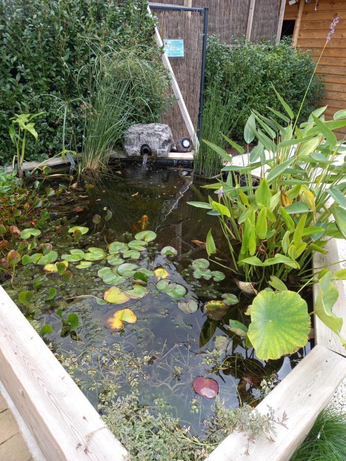 Appartement 3 Eme Etage Avec Piscine Partagee Sedan Bagian luar foto